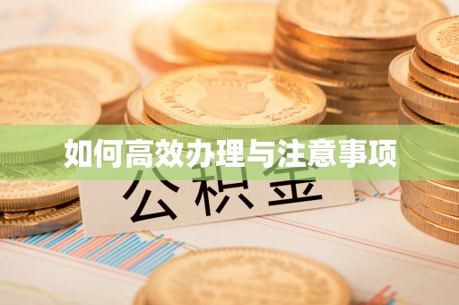 红河如何高效办理与注意事项