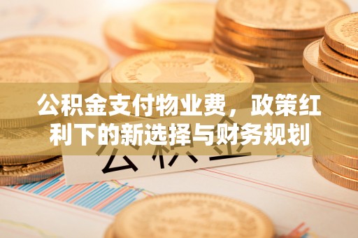 红河公积金支付物业费，政策红利下的新选择与财务规划