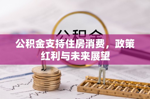 红河公积金支持住房消费，政策红利与未来展望