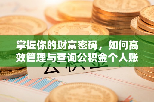 红河掌握你的财富密码，如何高效管理与查询公积金个人账户信息