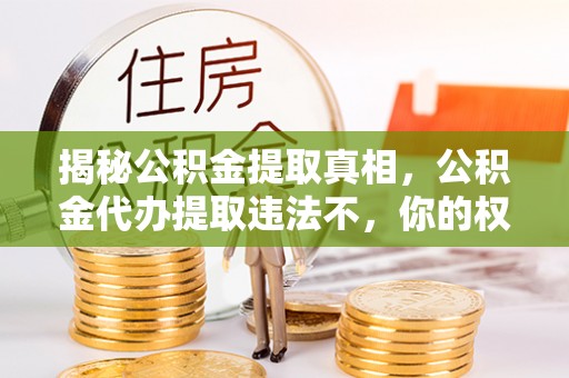红河揭秘公积金提取真相，公积金代办提取违法不，你的权益如何保障？