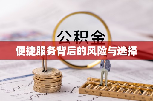 红河便捷服务背后的风险与选择